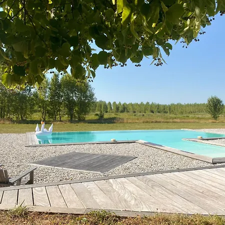 Grand Avec Piscine Maison Port Valade Tabanac